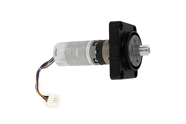Driver Motor