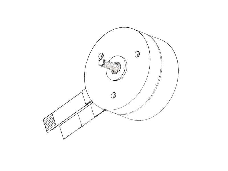Flat (Disc) Coreless Motor