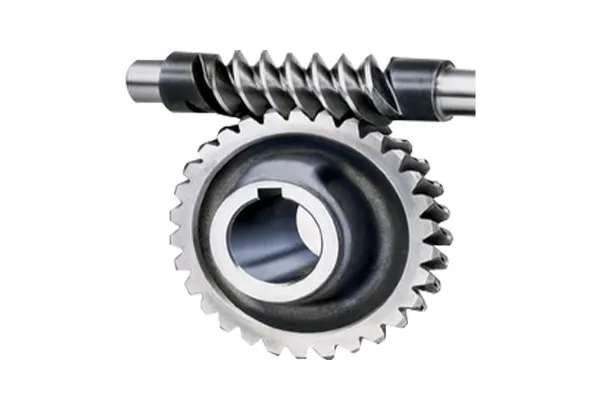 Worm Gear